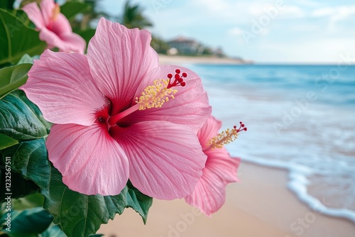 Beautiful pink hibiscus flowers bloom near the sandy beach under a clear sky