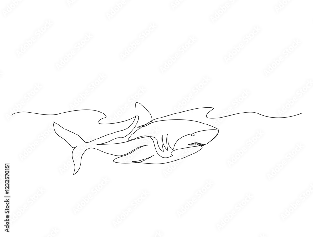 Continuous one line drawing of Great white shark in the sea. Shark fish in single line draw illustration. Editable stroke. Continuous one line drawing of Great white shark in the sea. Shark fish in single line draw illustration. Editable stroke.