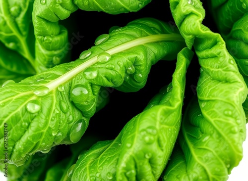 an image of a close up of a bunch of green leaves. photo