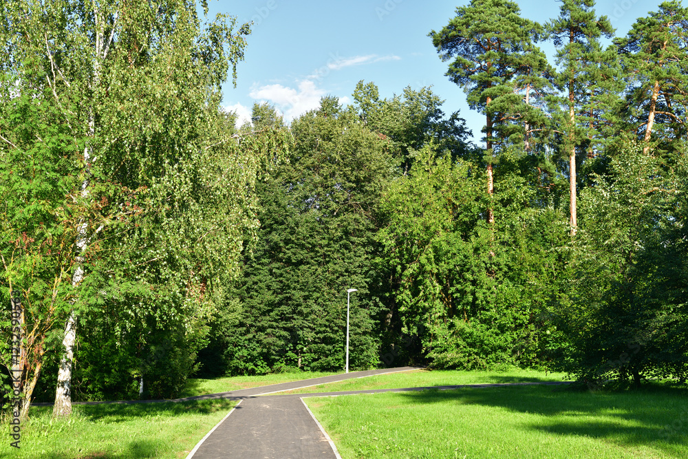 Obraz premium Park with a running tracks, Russia