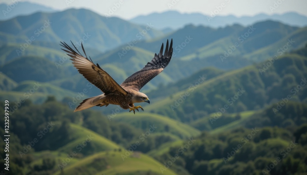 Naklejka premium A hawk soaring high above rolling green hills