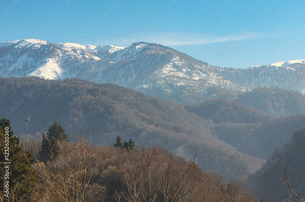 Snow-capped mountains with forested hills