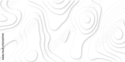 dynamic topographic papercut design. layered topography paper art. creative abstract patterns simulating gentle paper carving techniques. contemporary abstract design in smooth contour lines.