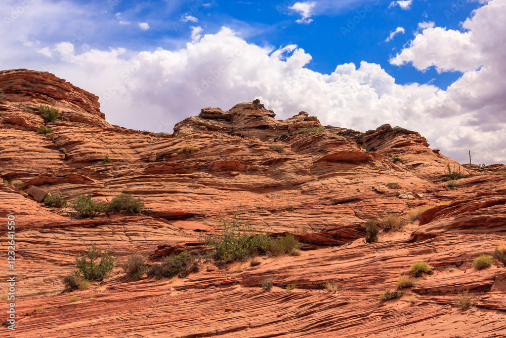 Fototapeta premium A rocky hillside with a few plants growing on it