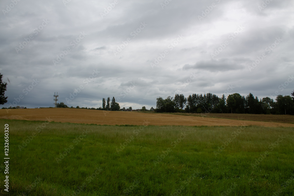 Obraz premium Landscape with a field and trees in a cloudy and gloomy grey weather and clouds on the background