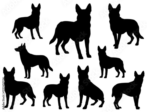 BELGIAN MALINOIS DOG SILHOUETTE ON WHITE BACKGROUND