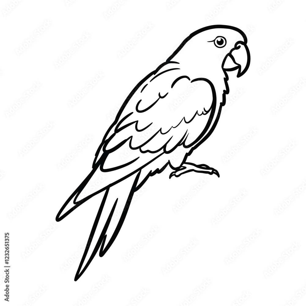 Fototapeta premium Parrot Bird silhouette vector graphic illustration.