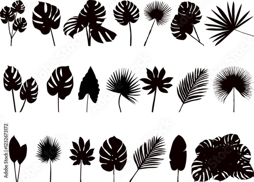 set of palm tree leaves silhouette on white background vector