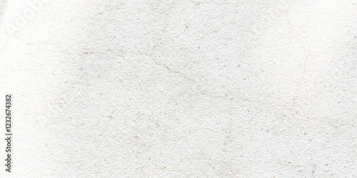 Abstract dust grunge on cement floor texture background Vector on white background banner.