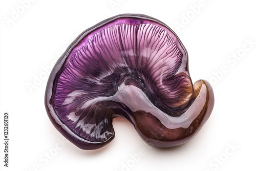 Jelly Ear mushroom, macro photography, purple-brown and white colors, fungal species isolation photo