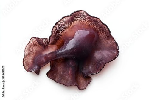 Jelly Ear mushroom, macro photography, purple-brown and white colors, fungal species isolation photo