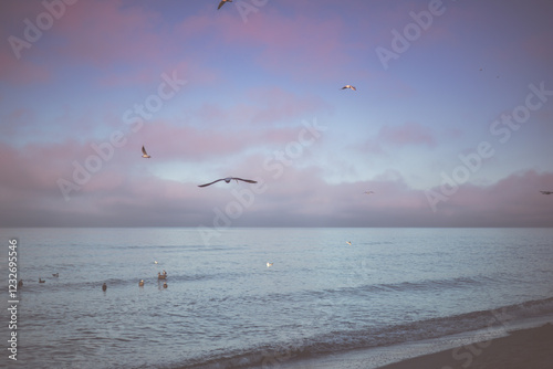 Fototapeta Naklejka Na Ścianę i Meble -  Calm beach on the Baltic Sea in the warm light of sunset. Gentle waves, sandy coastline and subtle atmosphere of relaxation. Perfect image for themes related to nature, travel, and holidays.