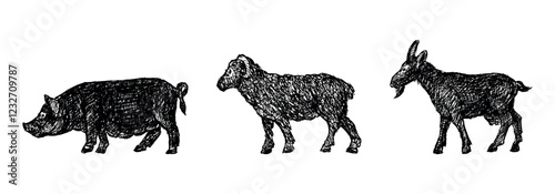 Hand drawn silhouettes of different hoofed farm animals, pig, sheep, goat, profile, vector illustration