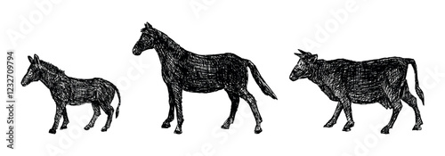 Hand drawn silhouettes of different hoofed farm animals, horse, donkey, cow, profile, vector illustration