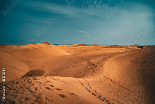paisaje dunas maspalomas Gran Canaria
