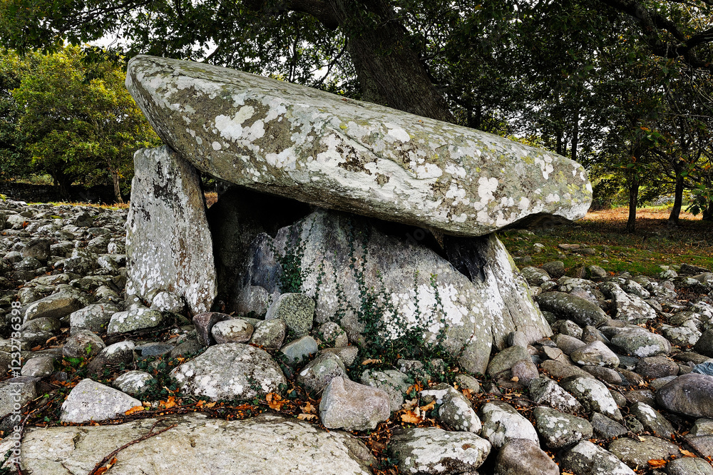 Dyffryn Ardudwy 6000 year old prehistoric megalithic dolmen tomb. Western burial chamber in long barrow cairn. Gwynedd Wales, UK