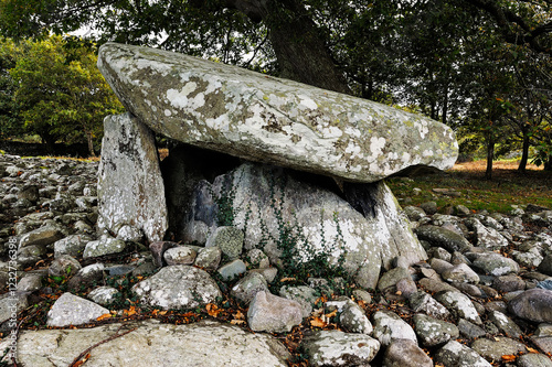 Dyffryn Ardudwy 6000 year old prehistoric megalithic dolmen tomb. Western burial chamber in long barrow cairn. Gwynedd Wales, UK photo