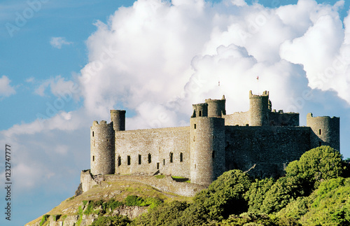 Obraz na płótnie Harlech Castle in Gwynedd on the west coast of Wales, UK. Built by King Edward 1st w salonie