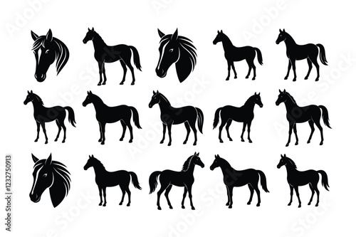 Horse Care and Training Essential Tips for Owners and Riders.