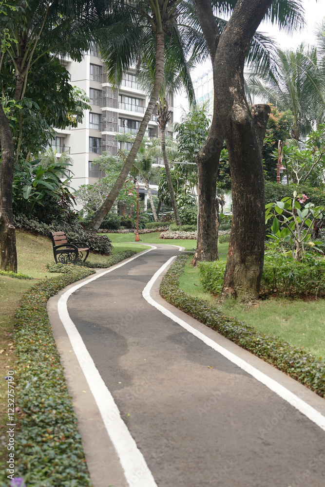 a path in a shady green park on the outskirts of the city. a path in a shady green park on the outskirts of the city.