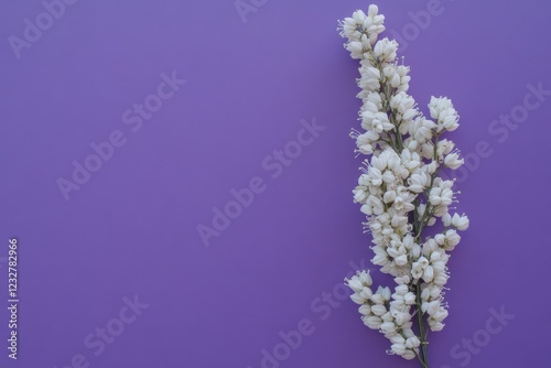 White flower branch on purple background
