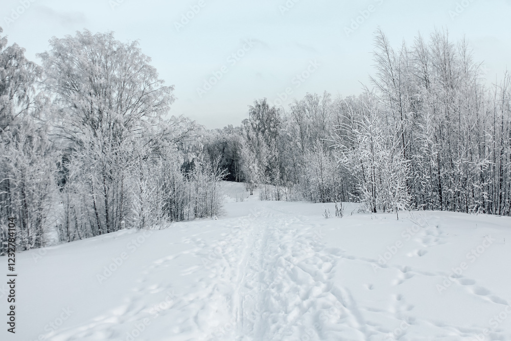 Obraz premium the road through the snow going into the distance. winter landscape