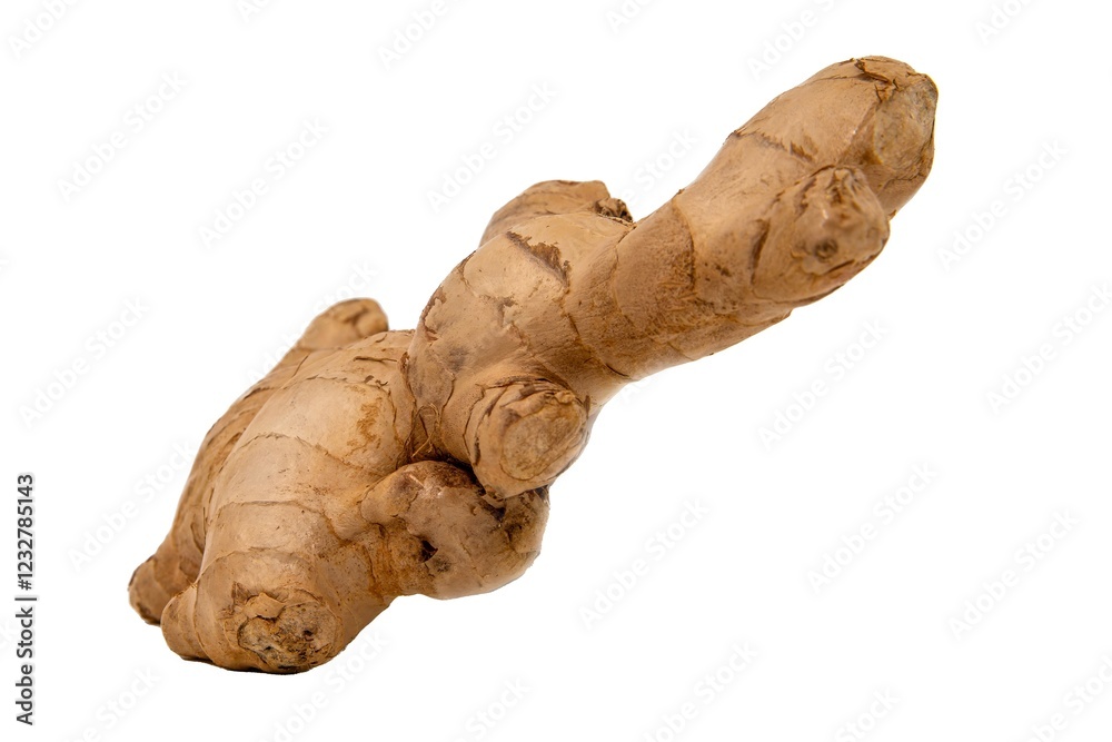 Fresh Ginger Root on White Background – Organic Spice and Herbal Medicine Ingredient Fresh Ginger Root on White Background – Organic Spice and Herbal Medicine Ingredient