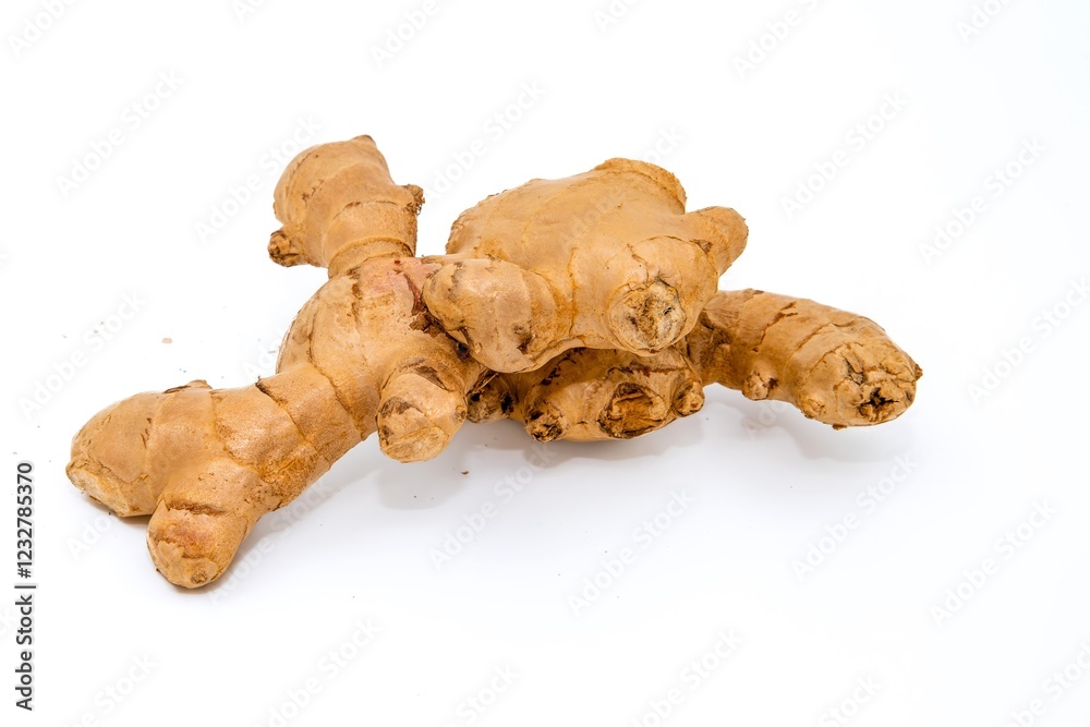 Fresh Ginger Root on White Background – Organic Spice and Herbal Medicine Ingredient Fresh Ginger Root on White Background – Organic Spice and Herbal Medicine Ingredient