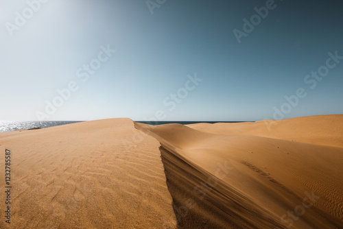 Fototapeta Naklejka Na Ścianę i Meble -  sand dunes in the desert 