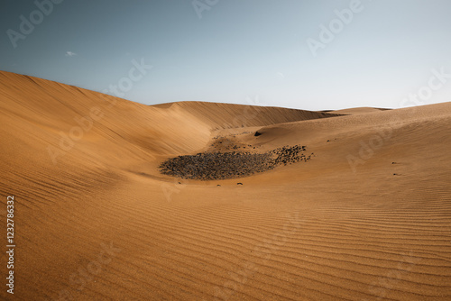 Fototapeta Naklejka Na Ścianę i Meble -  sand dunes in the desert