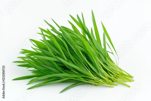 fresh green barley grass isolated on a white background
