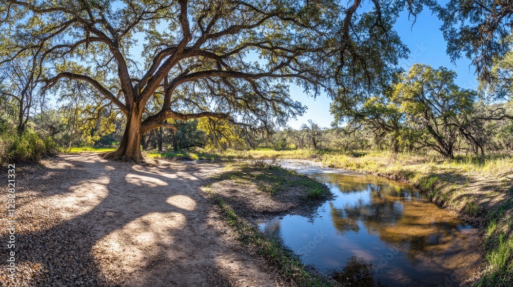 Majestic Oak Tree Beside Tranquil Stream And Path Majestic Oak Tree Beside Tranquil Stream And Path