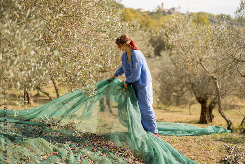 Obraz na płótnie A woman collecting olives using a green harvesting net in a scenic olive grove with a rustic countryside backdrop. A moment reflecting the beauty of sustainable agriculture w salonie