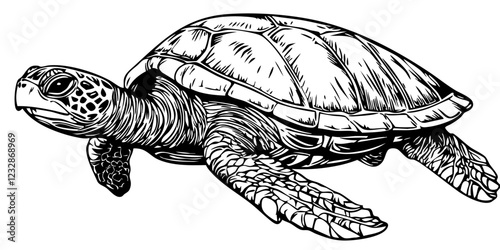 Monochrome Sea Turtle Exquisite Hand-Drawn Illustration, Sketch, No Background