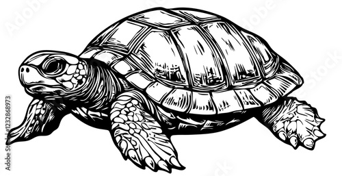 Monochrome Sea Turtle Exquisite Hand-Drawn Illustration, Sketch, No Background