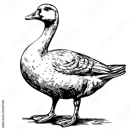 Timeless Cartoon Goose Silhouette Capturing Nature in Black and White, Sketch, Transparent Background