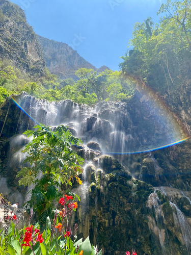 Rainbow arc over waterfall in Mexico cascading down rocky cliffs surrounded by greenery and colorful flowers under a clear blue sky