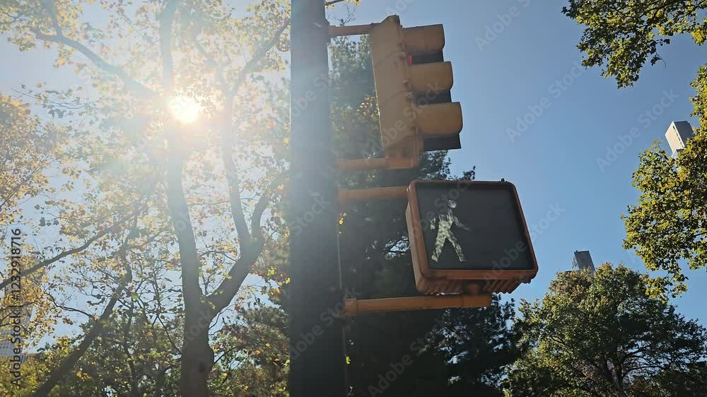 Traffic signal with trees and sunlight, A pedestrian traffic signal displays a red hand under bright sunlight,