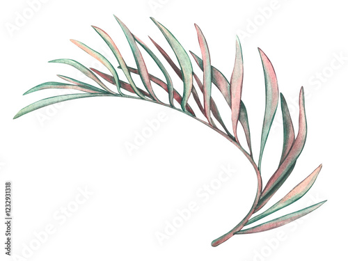 Watercolor illustration of a palm branch. Tropical leaves in pastel colors, green and pink. Leaves and branches of exotic plants from the jungle. Palm Leaves Isolated on a white Background