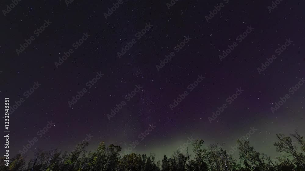 Aurora borealis timelapse over a forest in Abisko, Sweden Aurora borealis timelapse over a forest in Abisko, Sweden
