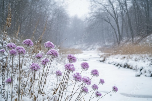 Blooming purple flowers emerging through snow in a serene winter landscape