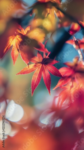 Vibrant autumn leaves illuminated by soft sunlight create a picturesque fall ...