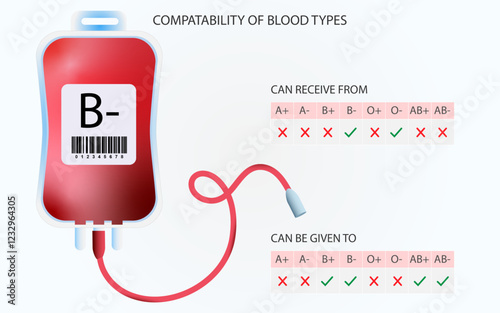 B- blood types compatibility chart template, B negative blood group compatibility chart