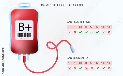 B+ blood types compatibility chart template, B positive blood group compatibility chart