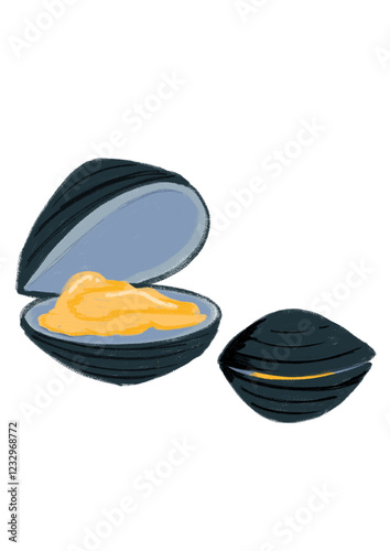 Conchas marinas ilustradas en digital