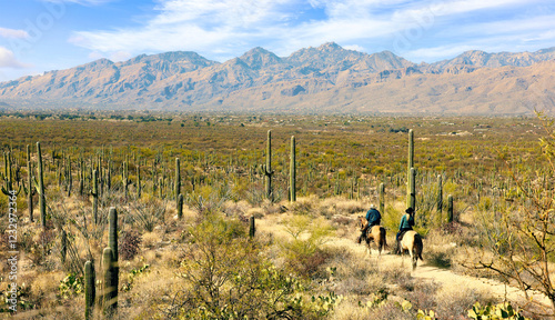 Trail ride in Saguaro National Park, Tucson, Arizona