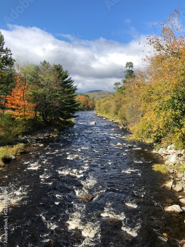 Mountain river