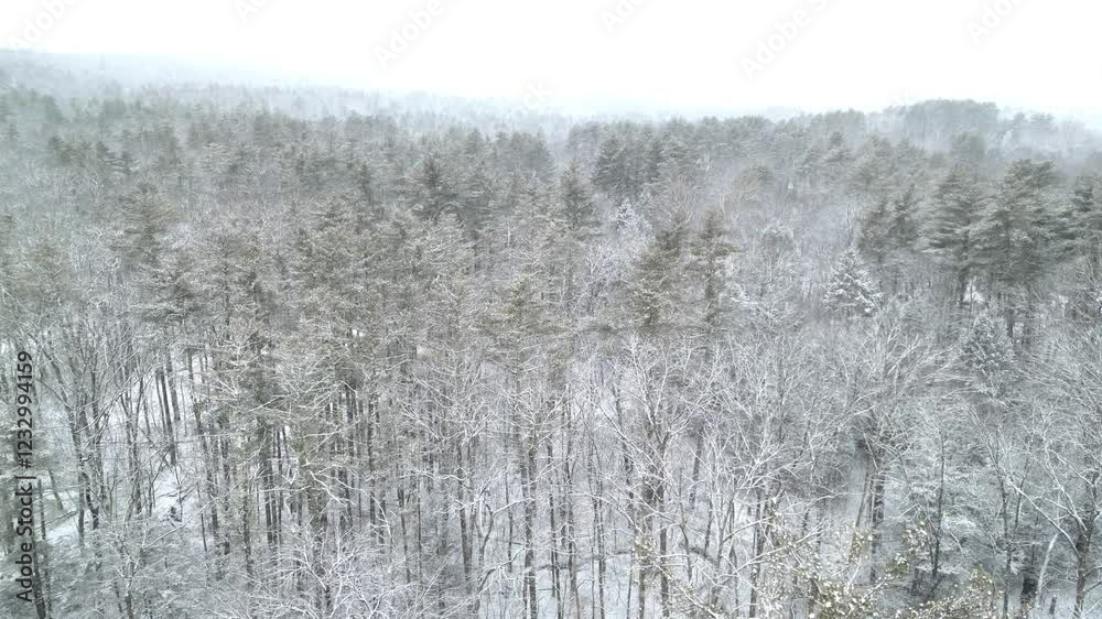 flying through snow covered trees in a forest (scenic nature view of snowy conifers and deciduous tree in woods) hiking nature destination hudson valley upstate new york hike blizzard winter storm flying through snow covered trees in a forest (scenic nature view of snowy conifers and deciduous tree in woods) hiking nature destination hudson valley upstate new york hike blizzard winter storm