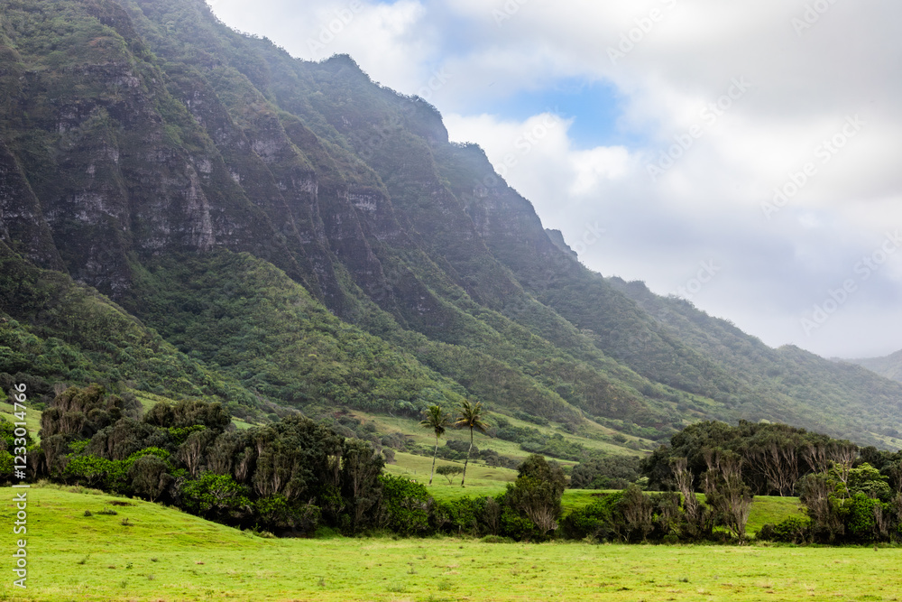 Fototapeta premium hawaii landscape