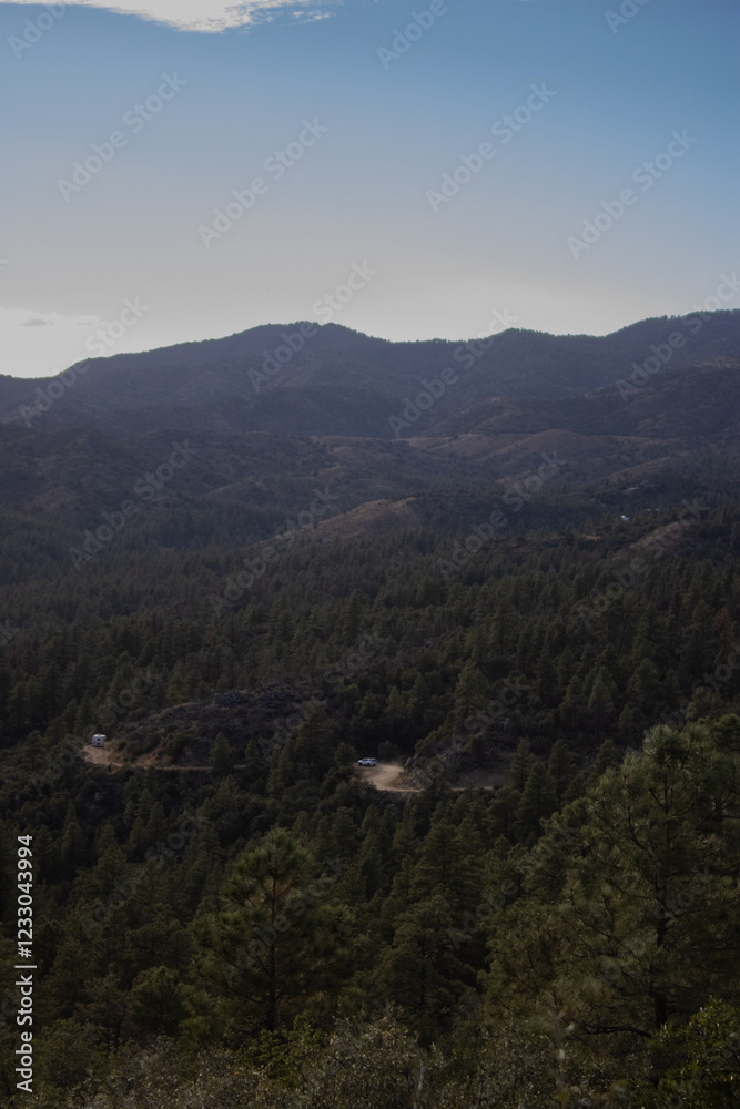 Prescott Arizona Summer Forest Landscape Prescott Arizona Summer Forest Landscape